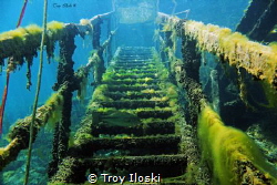 Enter the 5th Dimension
Dutch Springs, Stargate in to th... by Troy Iloski 